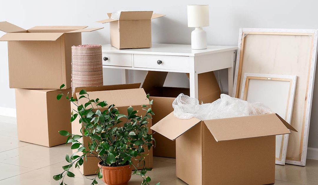 In einer leeren Wohnung stehen gepackte Umzugskartons, Möbel und eine Pflanze | Umzug